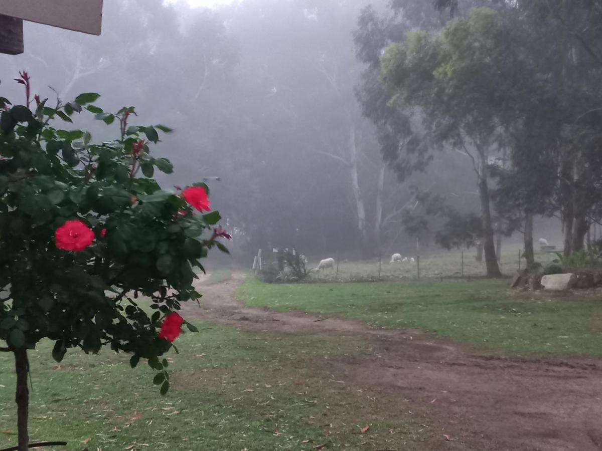 Wakkerstroom 福瑞伦霍夫农场旅馆旅馆 外观 照片