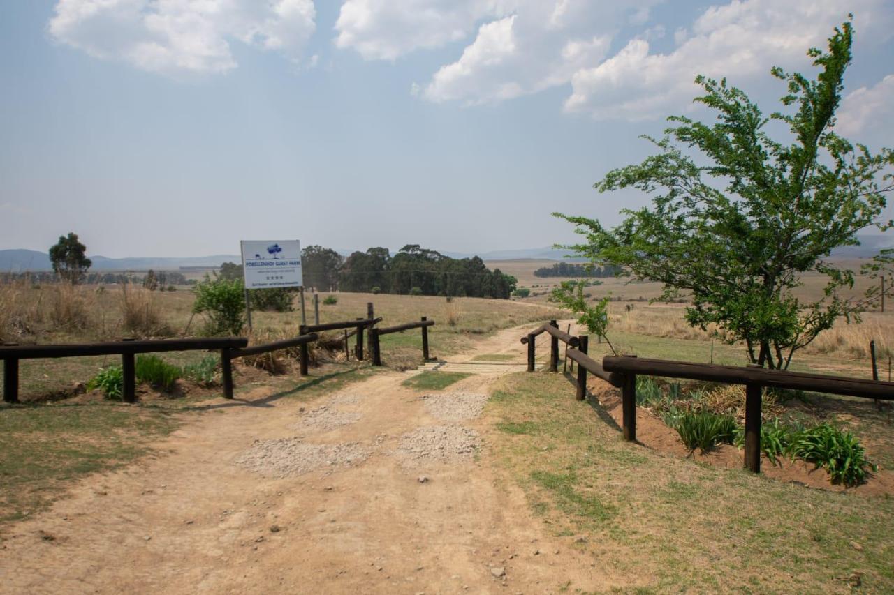 Wakkerstroom 福瑞伦霍夫农场旅馆旅馆 外观 照片