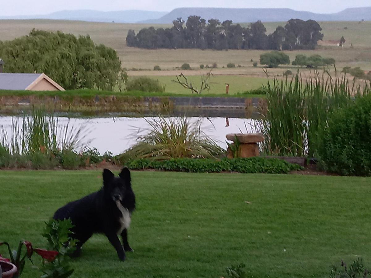 Wakkerstroom 福瑞伦霍夫农场旅馆旅馆 外观 照片