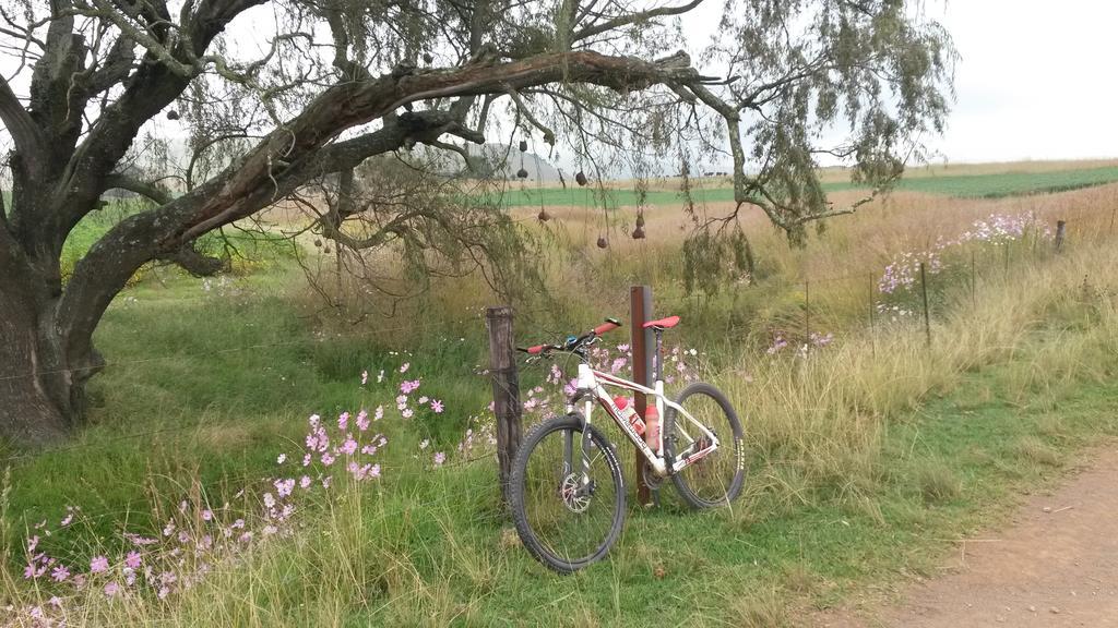 Wakkerstroom 福瑞伦霍夫农场旅馆旅馆 外观 照片