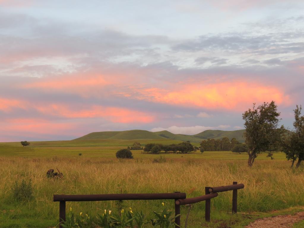 Wakkerstroom 福瑞伦霍夫农场旅馆旅馆 外观 照片