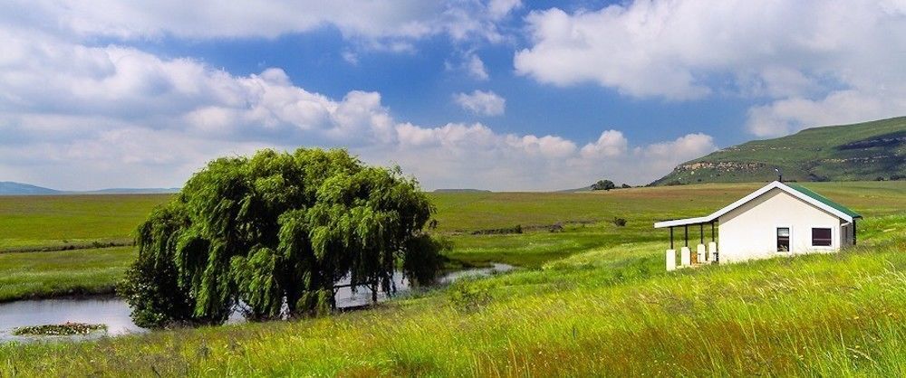 Wakkerstroom 福瑞伦霍夫农场旅馆旅馆 外观 照片